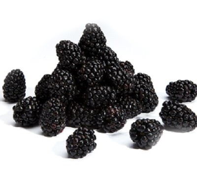 The Health Benefits of Eating Blackberries